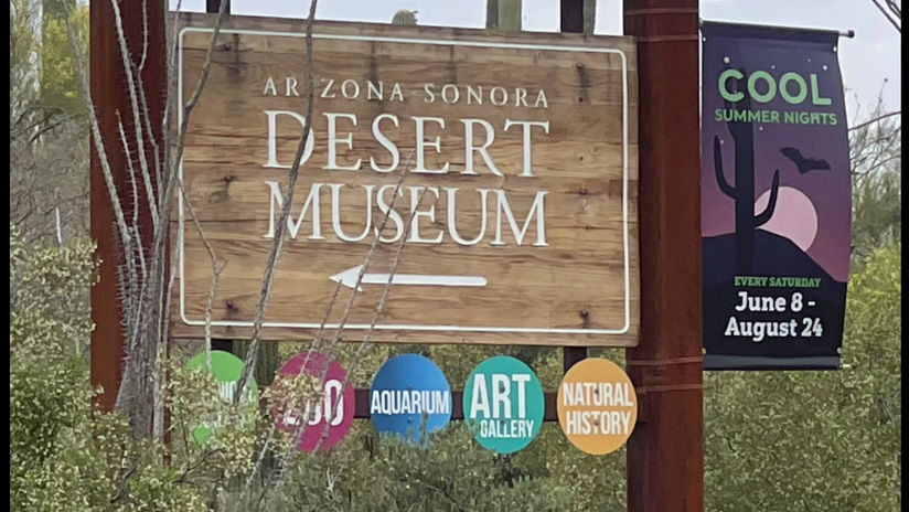 Arizona-Sonora Desert Museum
